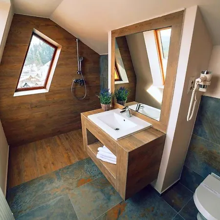 Gasthuis Popasul Domnesc- Resort& Spa- Vue 4*
