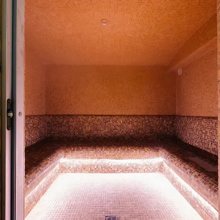 Popasul Domnesc- Resort& Spa- Vue Guest house